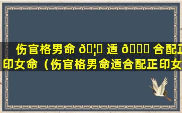 伤官格男命 🦆 适 🐘 合配正印女命（伤官格男命适合配正印女命吗）